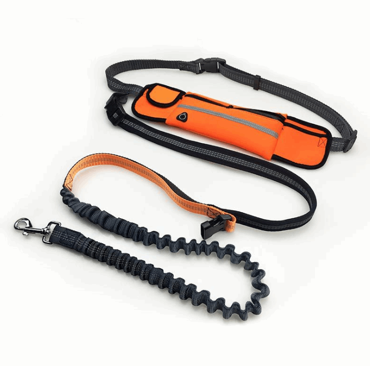 Dog Running Leash - Metroshopp