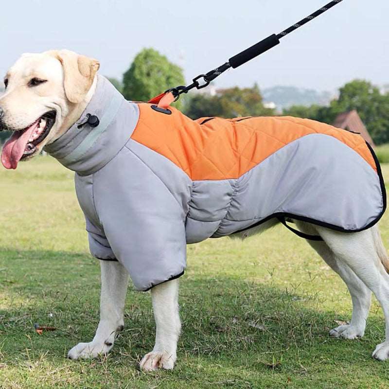 Winter Dog Coat - Metroshopp