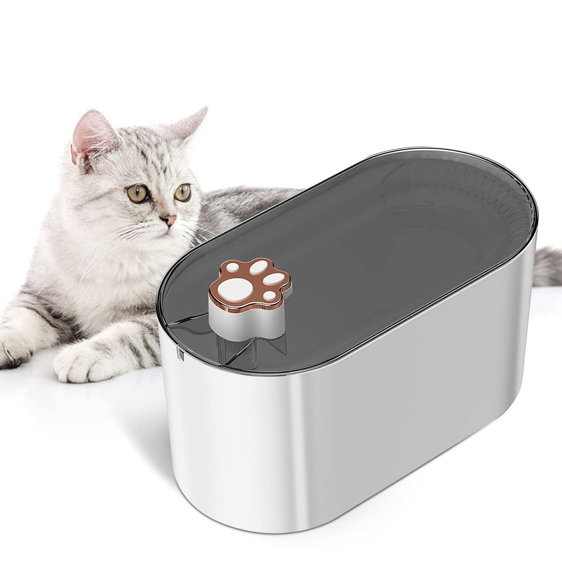 Pet Water Fountain Dispenser - Metroshopp